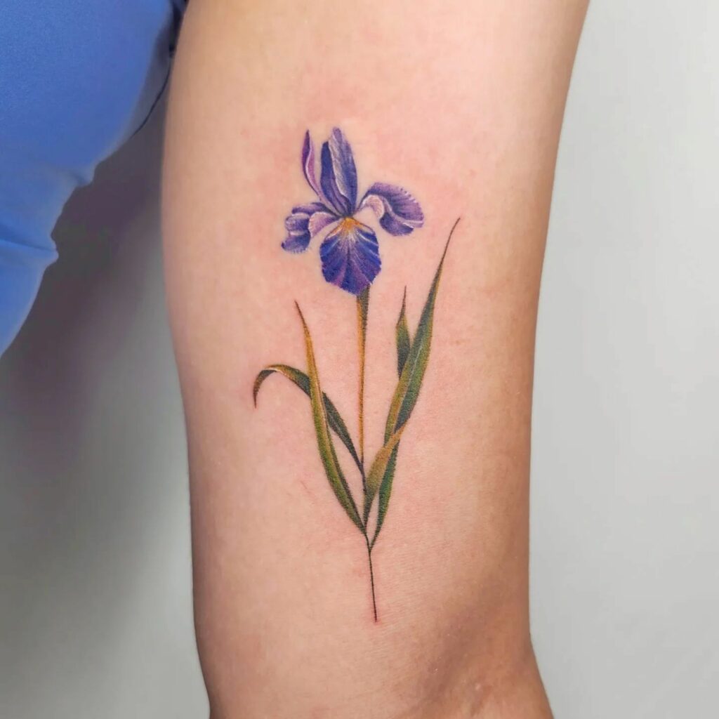 Oak Iris Tattoo