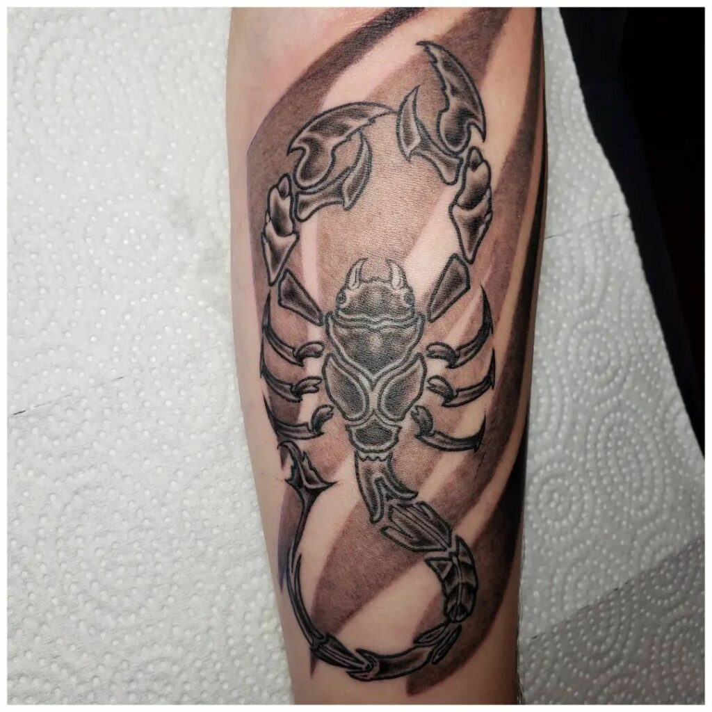 Scorpion Tattoo