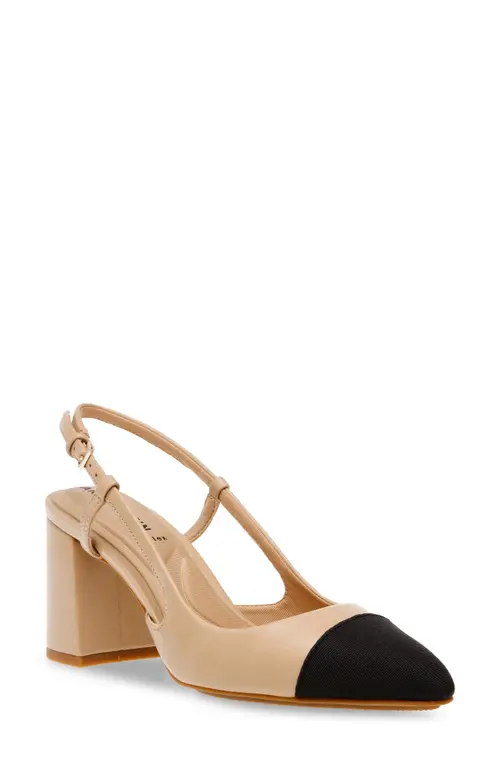 Anne Klein Brinlee Pointed Toe Pump