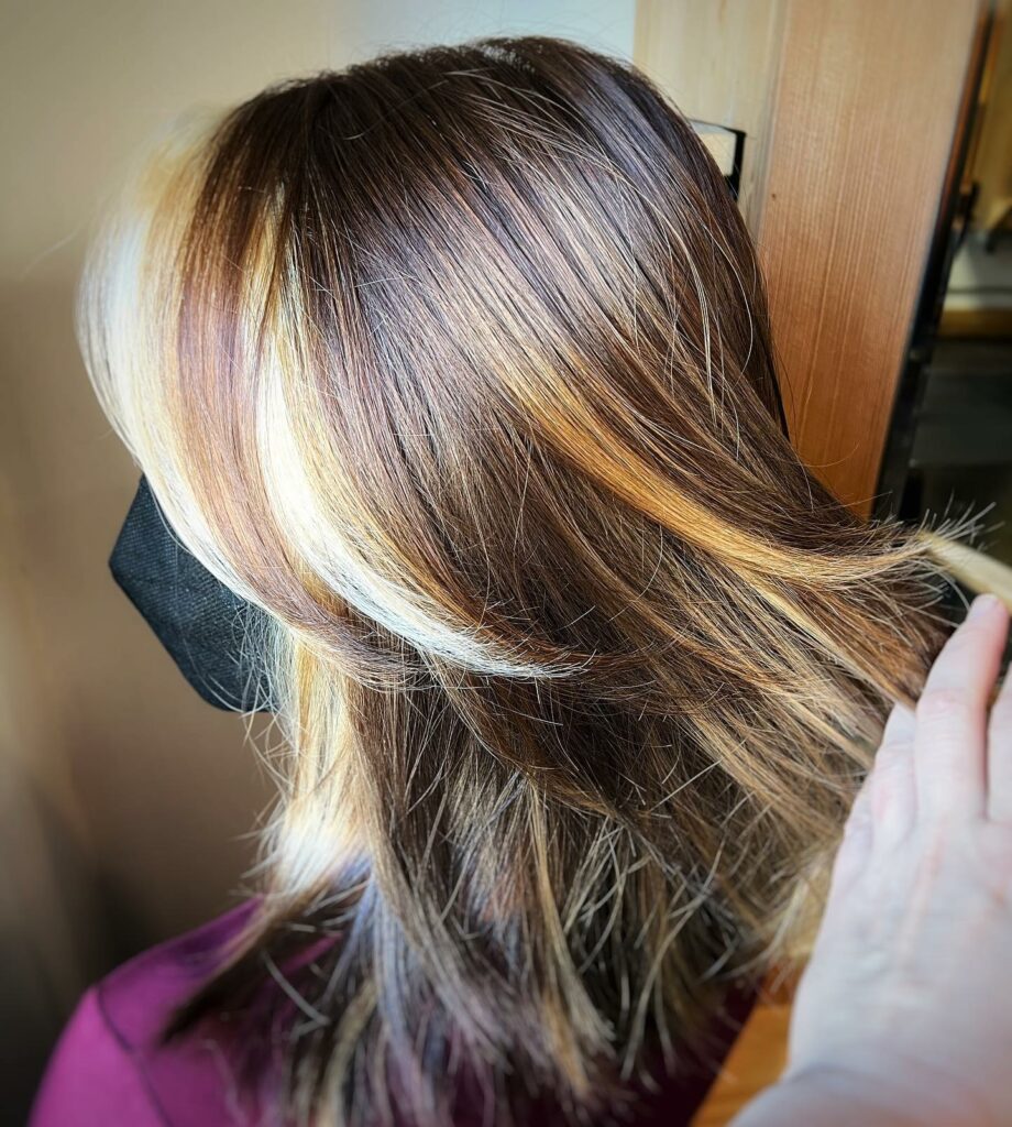 Chestnut Brown with Blonde Accents