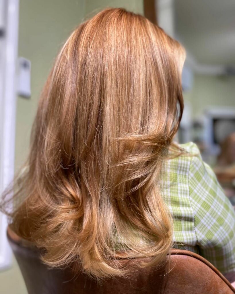 Brown Hair with Copper Blonde Highlights