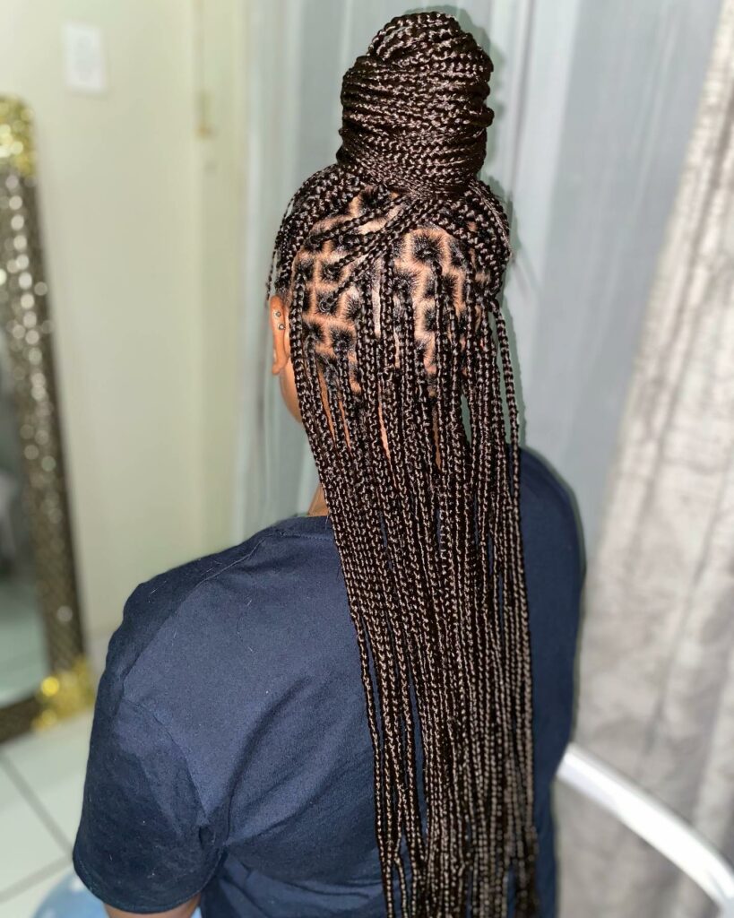 Micro Braids Half Updo