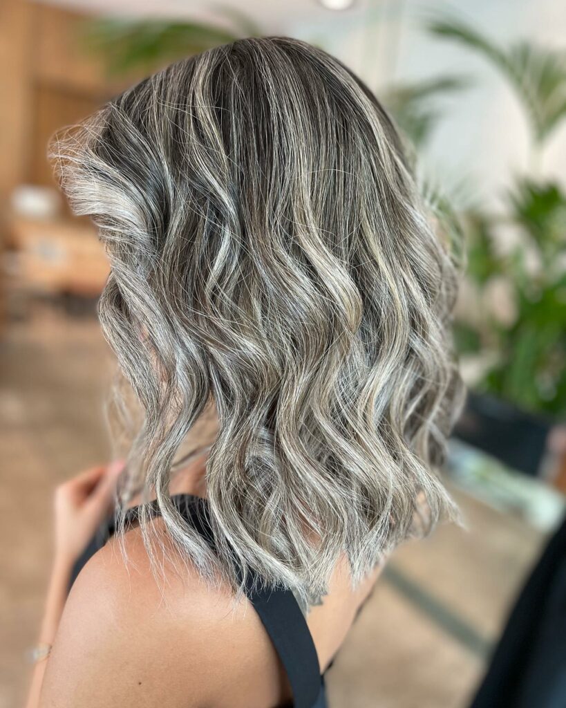 Brown Hair with Silver Babylights