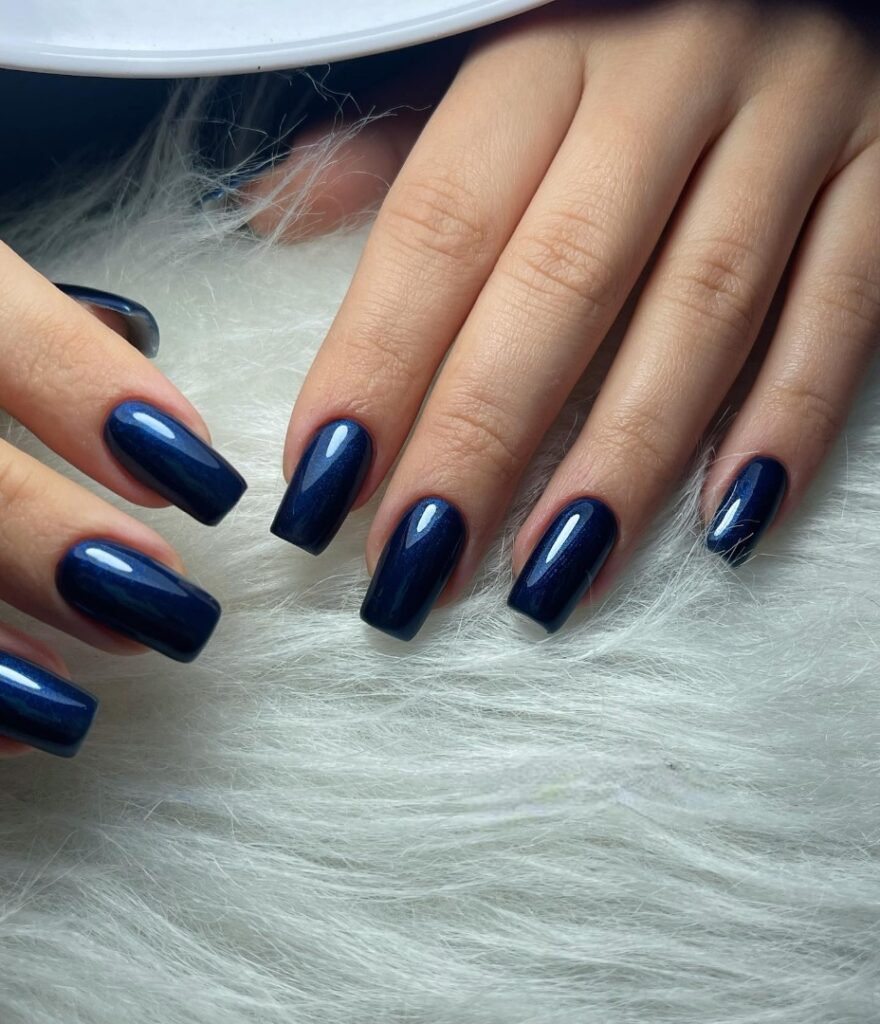 Navy Blue With Accent Nails