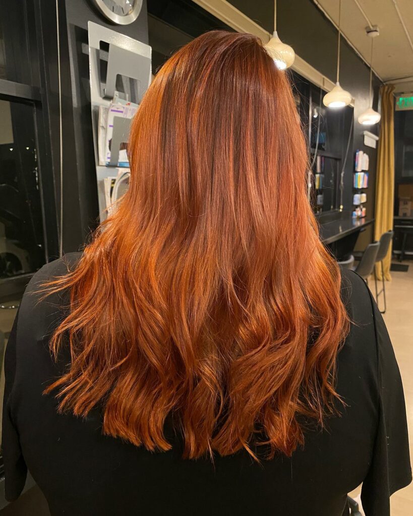 Light Copper Hair with Chocolate Base