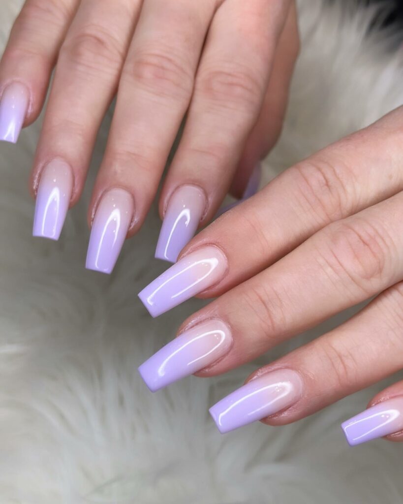 Lilac Light Purple Ombré