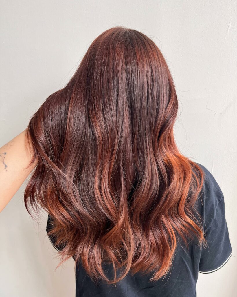 Dark Copper Hair with Barely-There Highlights.