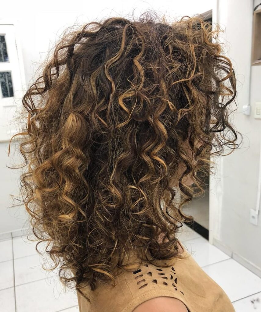Medium Loosely Curled Hairstyle with Highlights