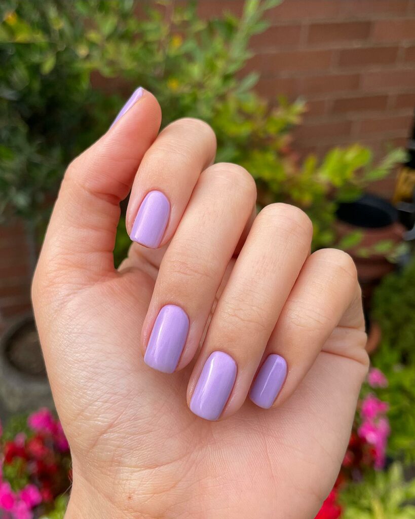 Solid Lilac