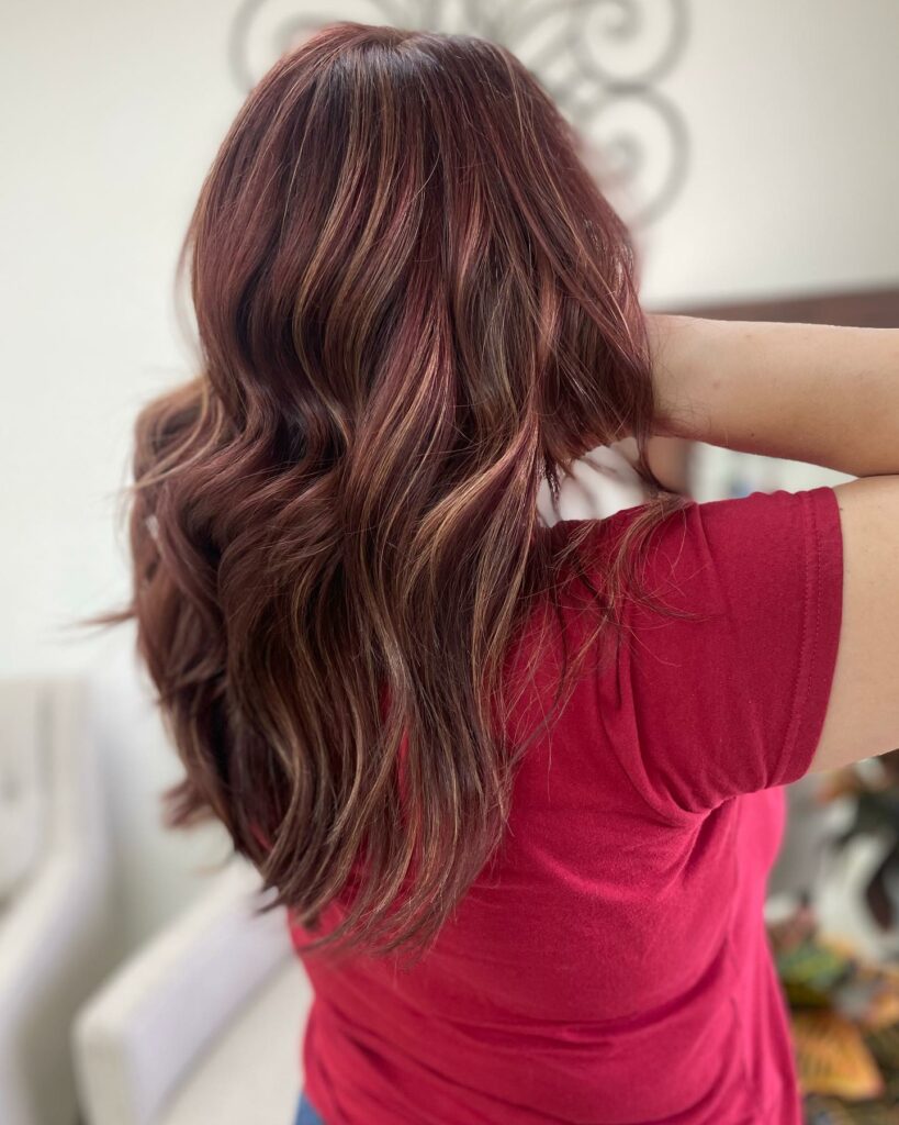 Dark Red-Brown Hair with Caramel Highlights